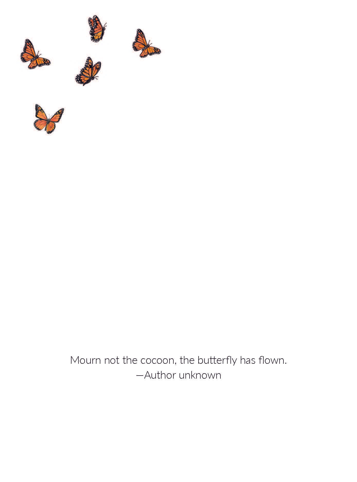 Butterfly “Thinking of You” Greeting Card